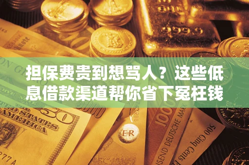 济南担保费贵到想骂人？这些低息借款渠道帮你省下冤枉钱